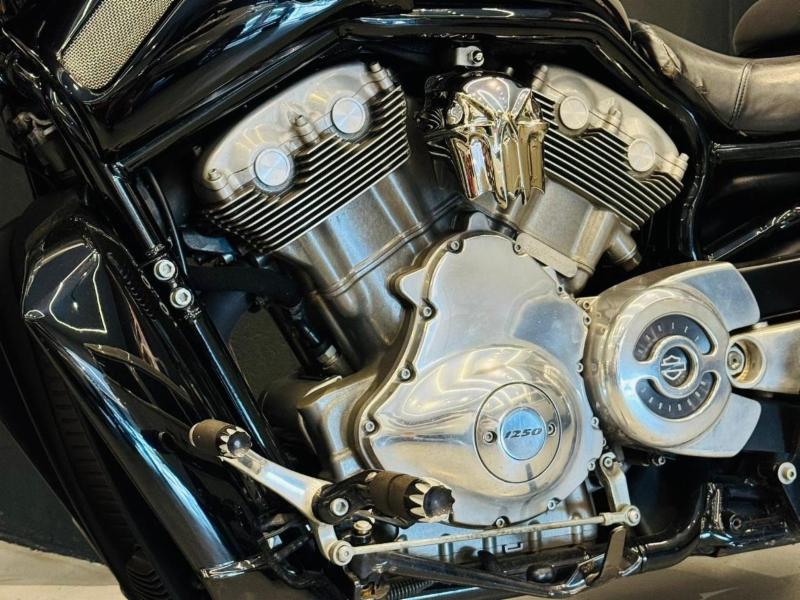 Harley-Davidson V-ROD 1250cc MUSCLE VRSCF - foto 5