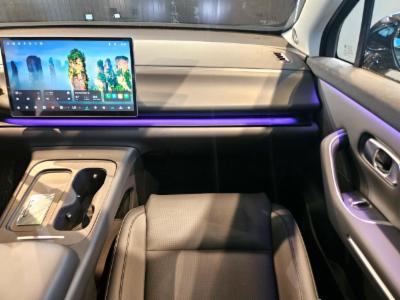 C10 (Híbrido) - thumb 11