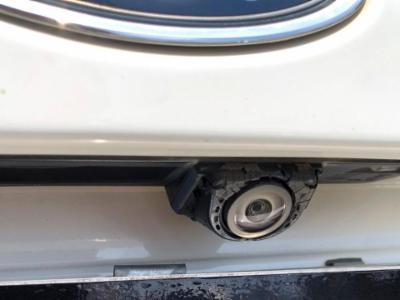 Focus titanium - thumb 10