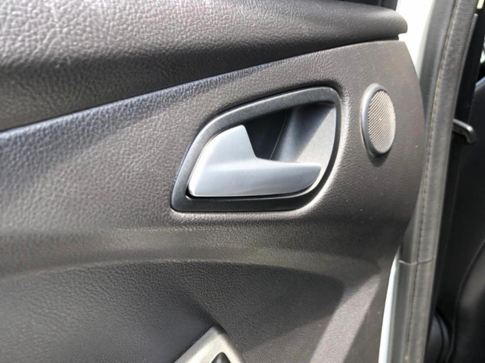 Focus titanium - foto 7