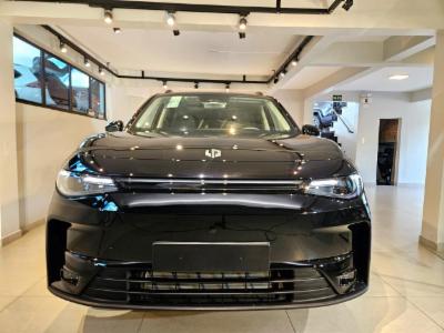 C10 (Híbrido) - thumb 7