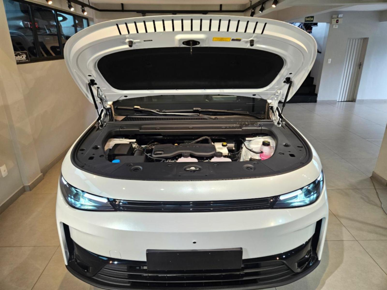 C10 (Híbrido) - foto 15