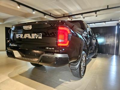 Dakota laramie - thumb 5