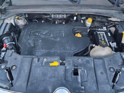 Toro volcano - thumb 8