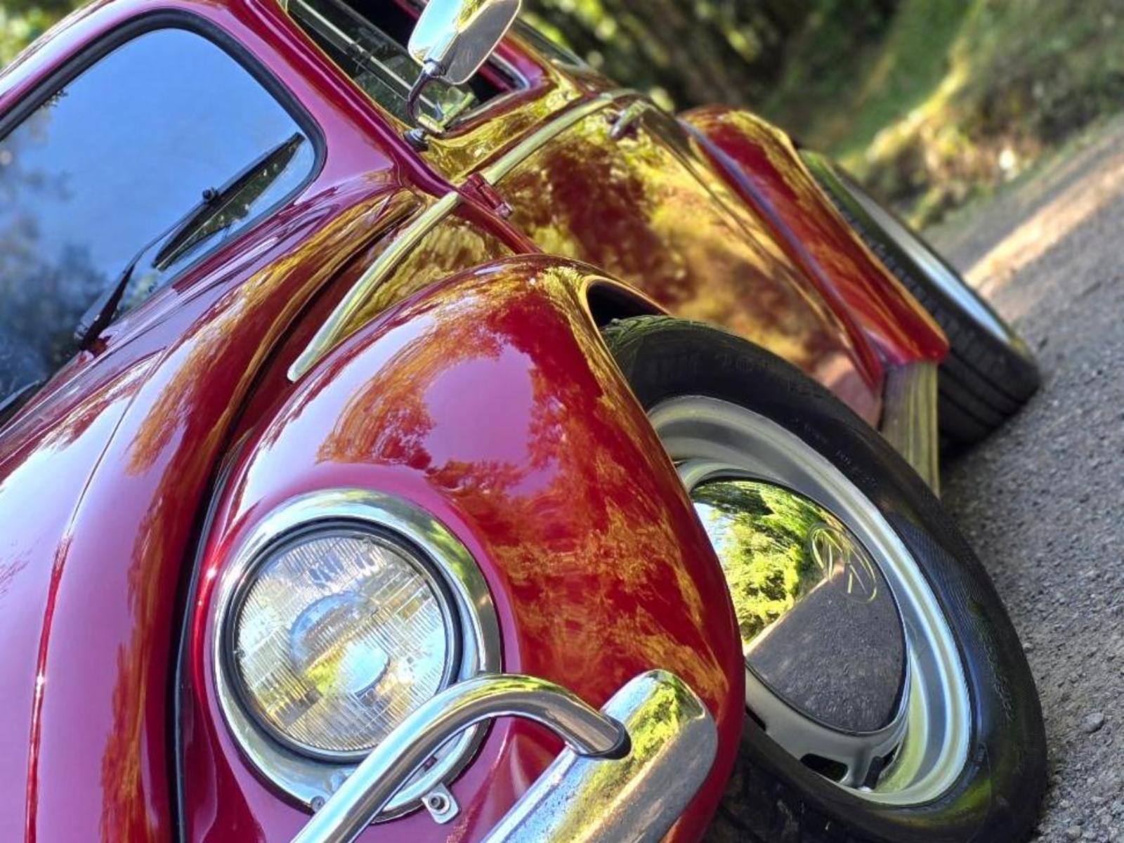 Fusca - foto 6