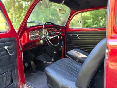 Fusca - thumb 10