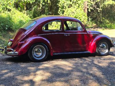 Fusca - thumb 11