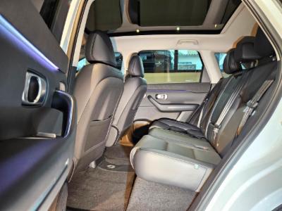 C10 (Híbrido) - thumb 9