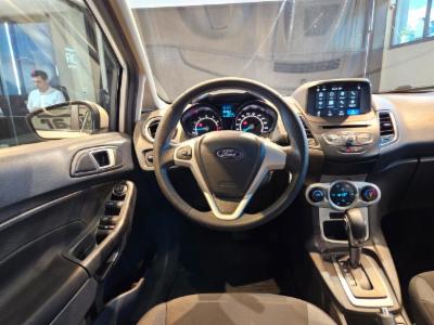 Fiesta sel - thumb 12