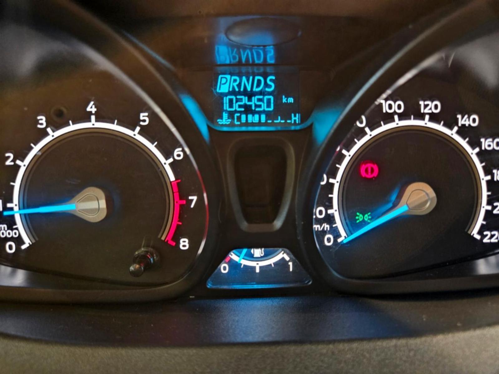 Fiesta sel - foto 13