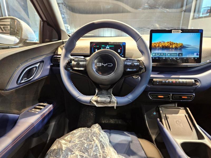BYD Dolphin Mini (Elétrico) - foto 12